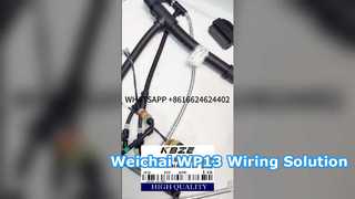 Arnés de cableado del motor KBZE 1006889780 WEICHAI WP13 para camión volquete minero LGMG SANY XCMG TONLY